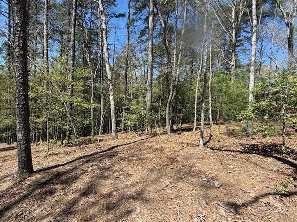 Lot 2 Lynae Lane, Murphy, NC 28906