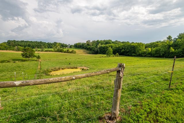 4635 Warrensburg Rd, Greeneville, TN 37743