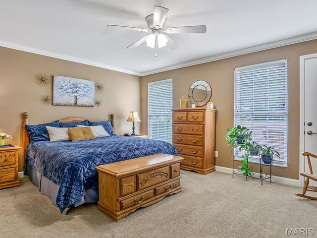 928 Alecia Drive, Waterloo, IL 62298