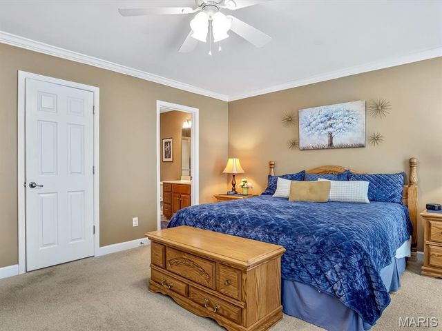 928 Alecia Drive, Waterloo, IL 62298