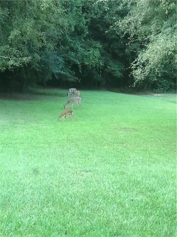 95 Homeplace Drive, Covington, GA 30016