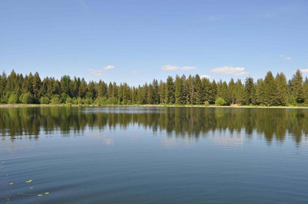 346XX N Regal Ln, Deer Park, WA 99006 photo 2