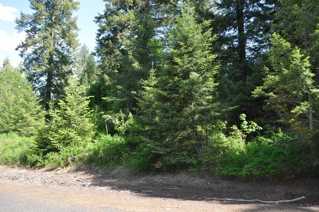 346XX N Regal Ln, Deer Park, WA 99006 photo 11