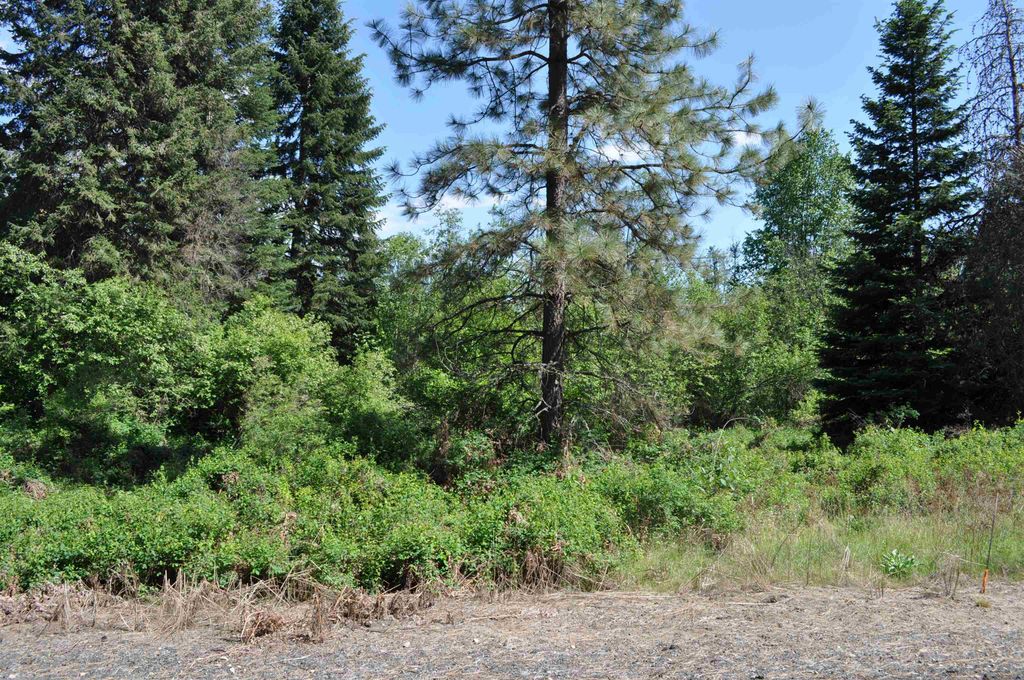 346XX N Regal Ln, Deer Park, WA 99006 photo 13