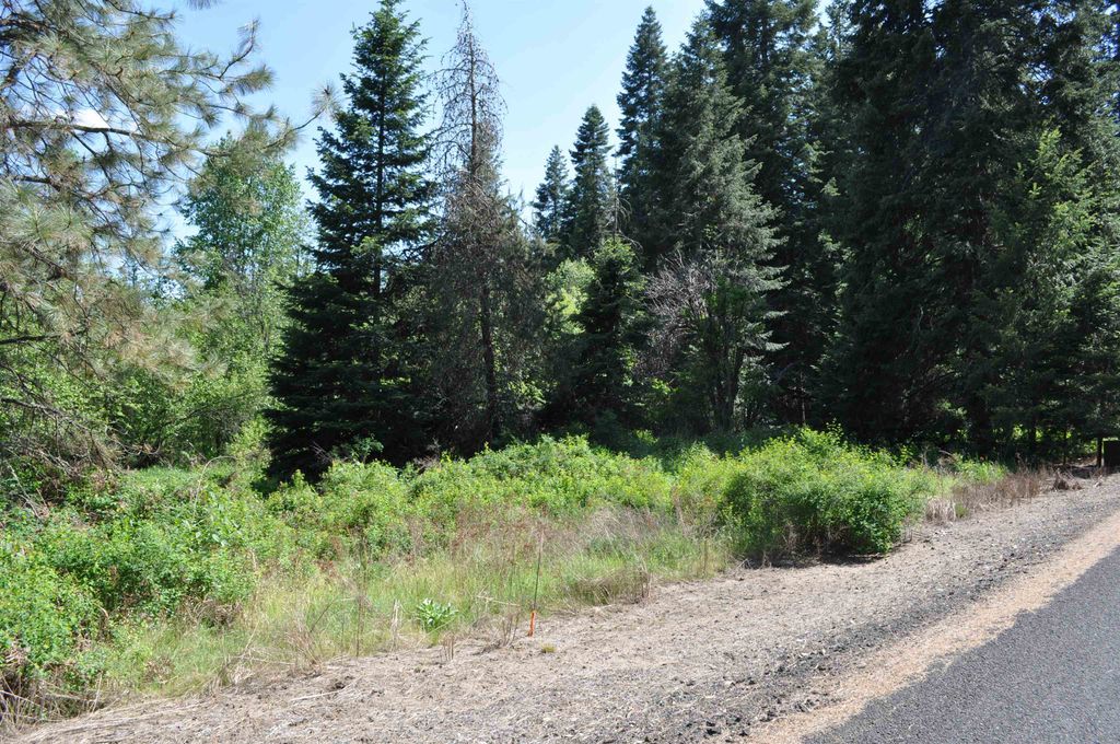 346XX N Regal Ln, Deer Park, WA 99006 photo 14