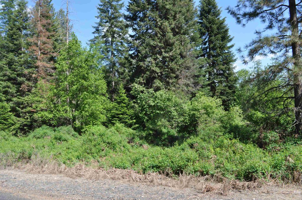 346XX N Regal Ln, Deer Park, WA 99006 photo 15