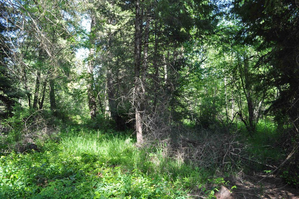 346XX N Regal Ln, Deer Park, WA 99006 photo 18