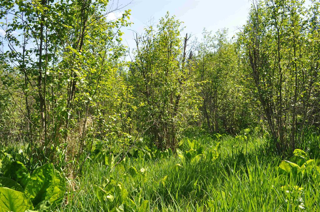 346XX N Regal Ln, Deer Park, WA 99006 photo 23