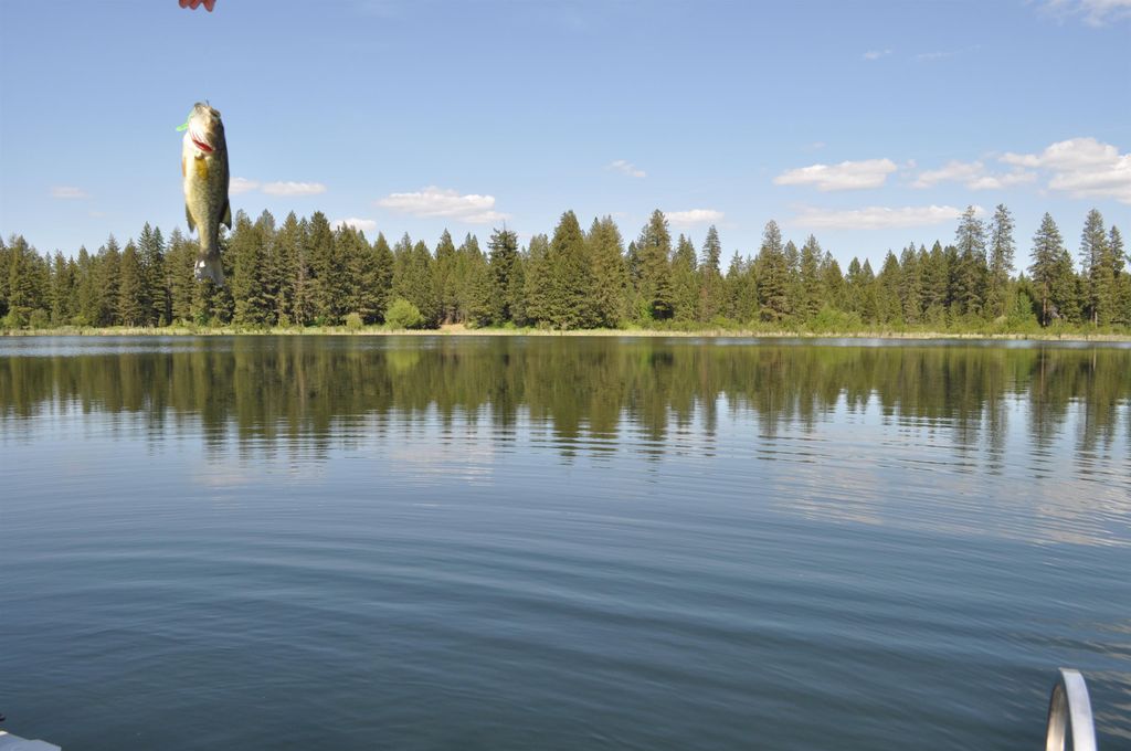 346XX N Regal Ln, Deer Park, WA 99006 photo 28