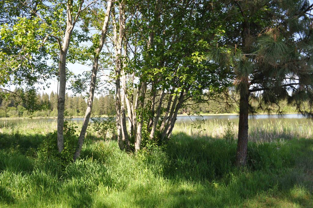 346XX N Regal Ln, Deer Park, WA 99006 photo 31