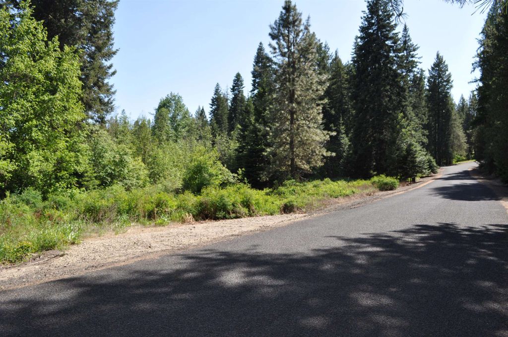 346XX N Regal Ln, Deer Park, WA 99006 photo 6