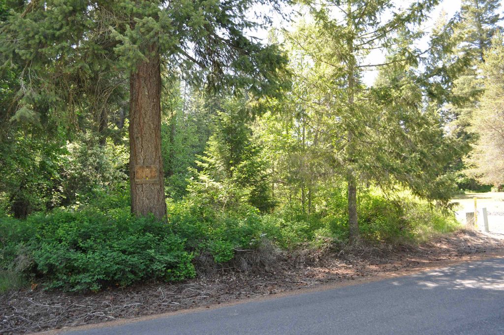 346XX N Regal Ln, Deer Park, WA 99006 photo 7