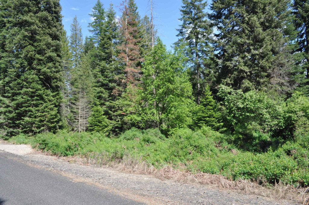 346XX N Regal Ln, Deer Park, WA 99006 photo 9