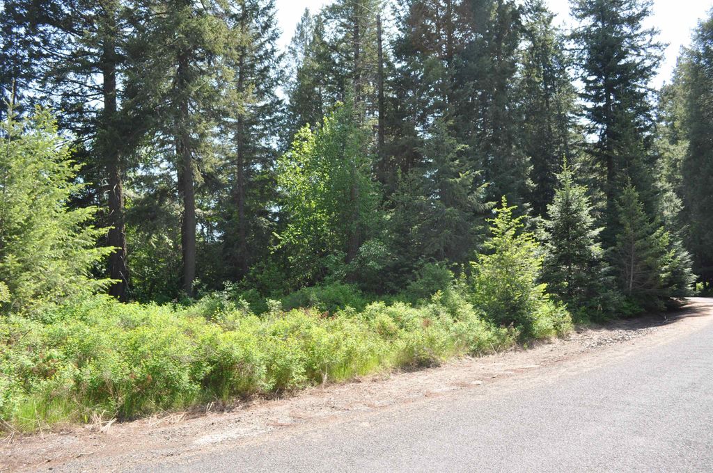 346XX N Regal Ln, Deer Park, WA 99006 photo 10