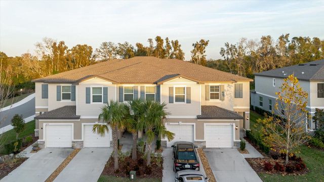 6038 SHINER STREET, Land O Lakes, FL 34638