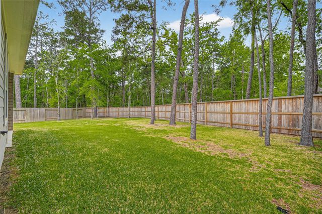 321 Mullins Court, Montgomery, TX 77316