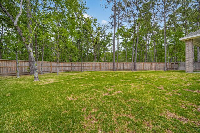 321 Mullins Court, Montgomery, TX 77316
