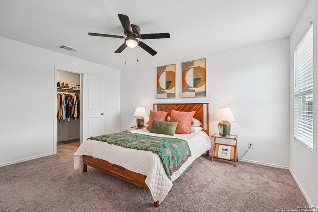 31811 Blackgum, Bulverde, TX 78163
