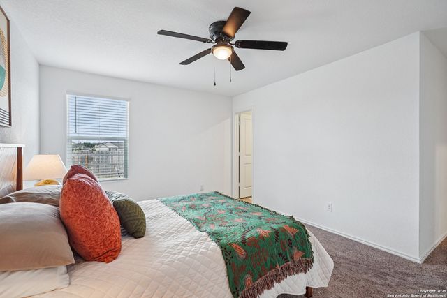 31811 Blackgum, Bulverde, TX 78163
