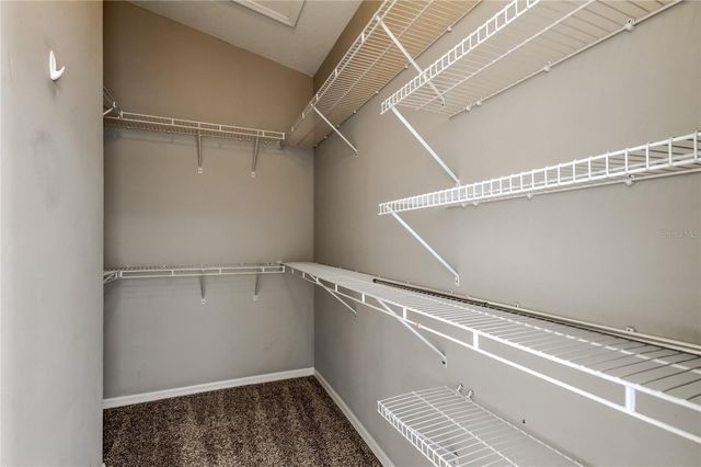 3421 SANTA RITA LANE, Land O Lakes, FL 34639