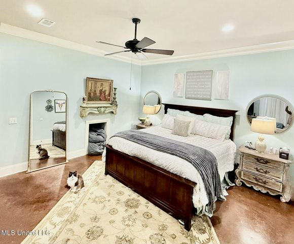 424 Stonewater Cove, Madison, MS 39110