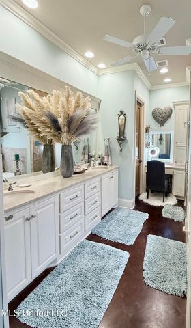 424 Stonewater Cove, Madison, MS 39110