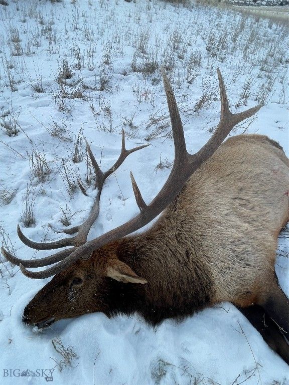 1847 Maudlow Road, Belgrade, MT 59714 photo 16