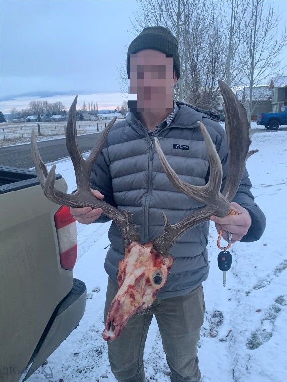 1847 Maudlow Road, Belgrade, MT 59714 photo 17