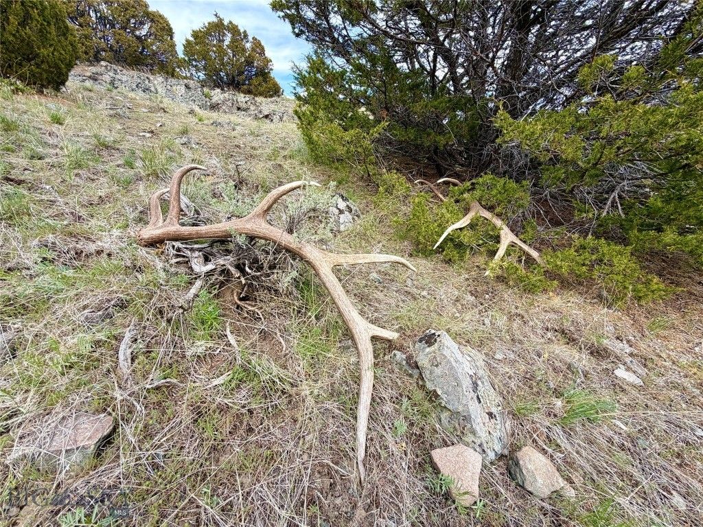 1847 Maudlow Road, Belgrade, MT 59714 photo 18