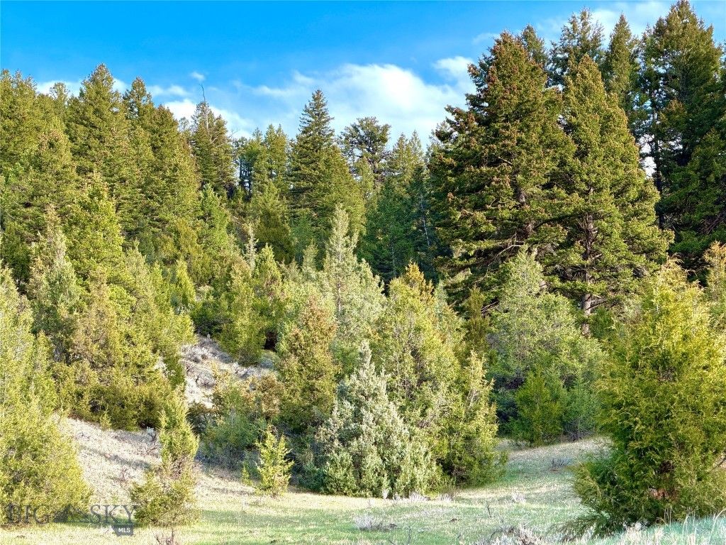 1847 Maudlow Road, Belgrade, MT 59714 photo 19