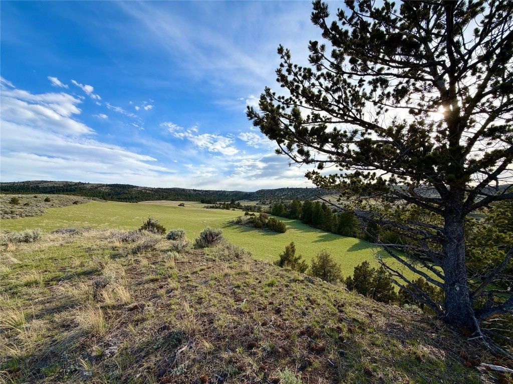 1847 Maudlow Road, Belgrade, MT 59714 photo 21