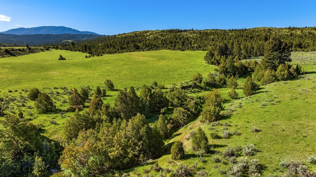 1847 Maudlow Road, Belgrade, MT 59714 photo 24