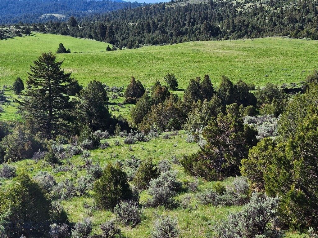 1847 Maudlow Road, Belgrade, MT 59714 photo 38