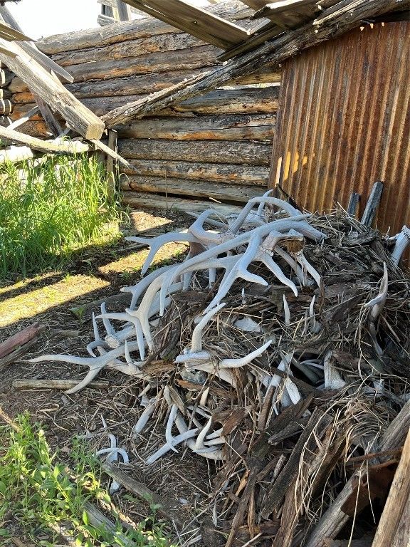 1847 Maudlow Road, Belgrade, MT 59714 photo 48