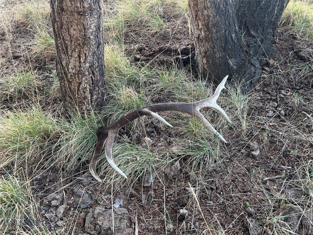 1847 Maudlow Road, Belgrade, MT 59714 photo 49