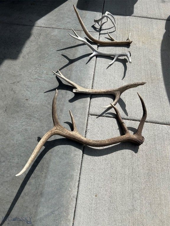 1847 Maudlow Road, Belgrade, MT 59714 photo 52