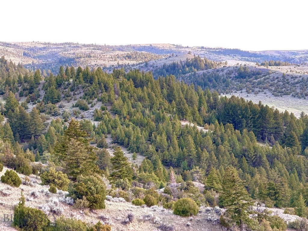 1847 Maudlow Road, Belgrade, MT 59714 photo 55