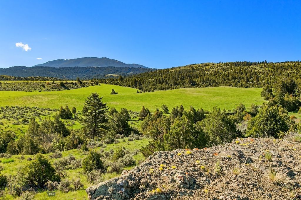 1847 Maudlow Road, Belgrade, MT 59714 photo 6