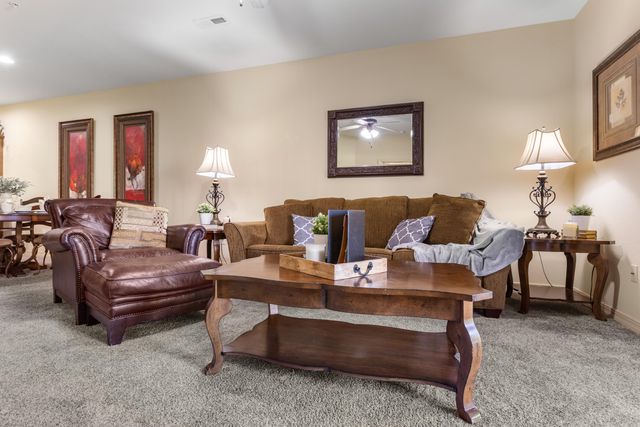 310 S Wildwood Drive 1, Branson, MO 65615