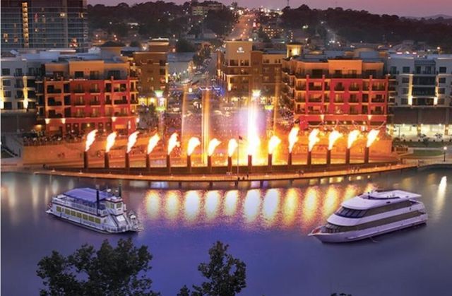 310 S Wildwood Drive 1, Branson, MO 65615