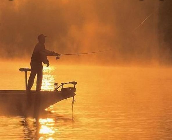 310 S Wildwood Drive 1, Branson, MO 65615