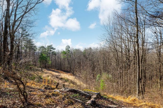 2922 Kell Road, Signal Mountain, TN 37377