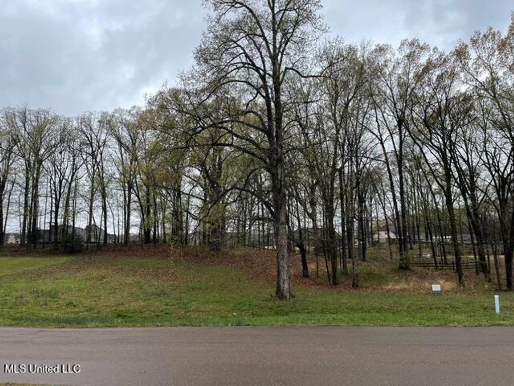 16 Garden Road, Southaven, MS 38672 — photo 2