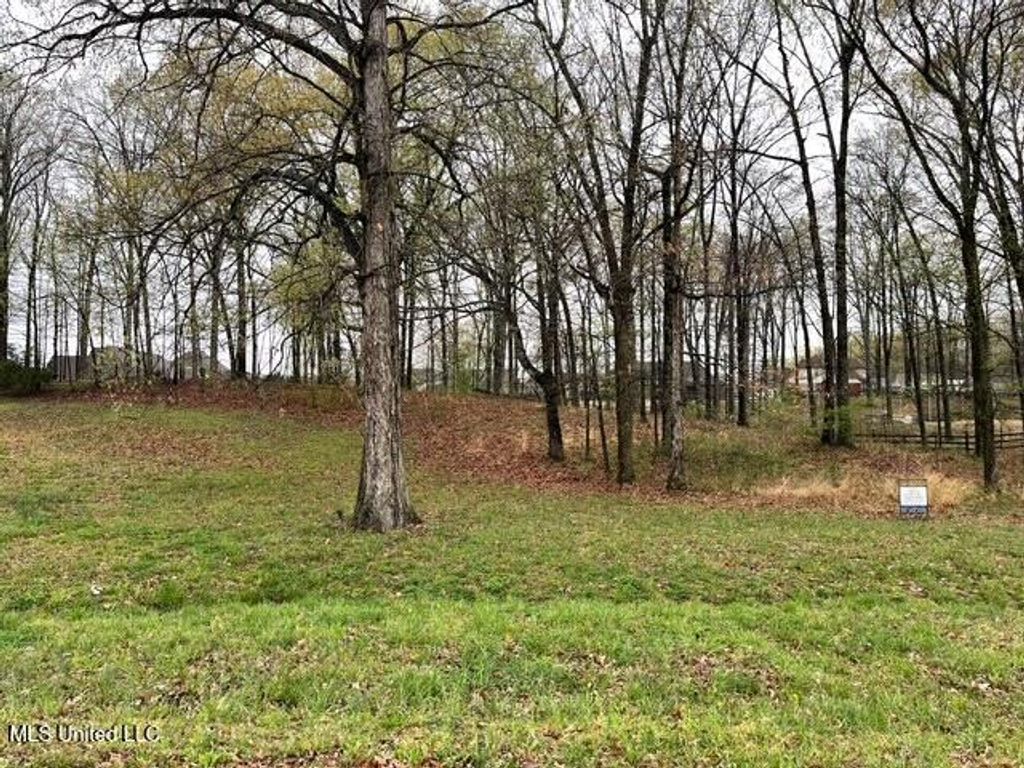 16 Garden Road, Southaven, MS 38672 — photo 3