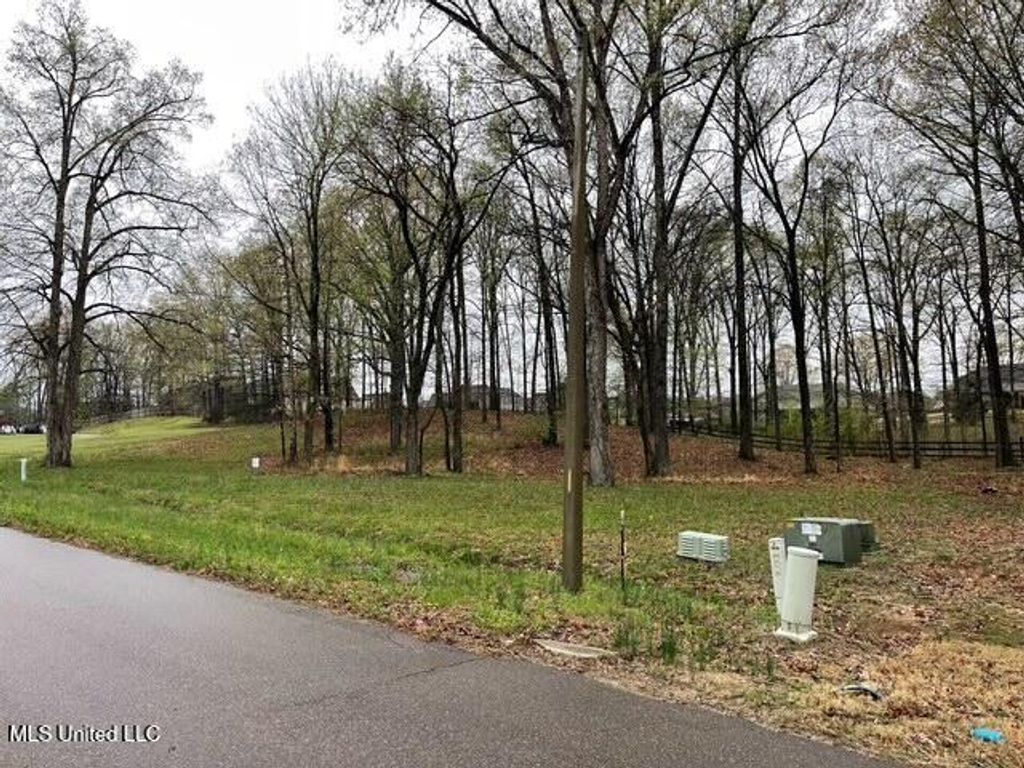 16 Garden Road, Southaven, MS 38672 — photo 4