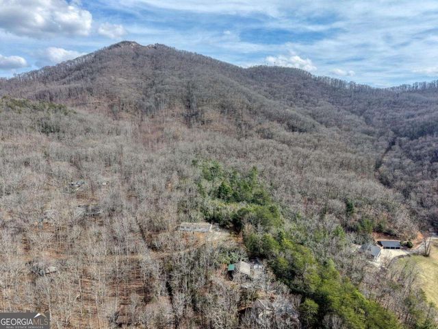 1189 Old Forge Estates, Hiawassee, GA 30546