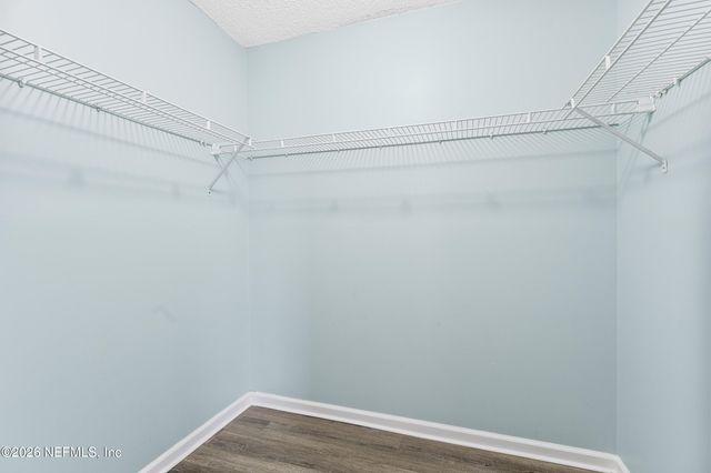 3013 WAVERING Lane, Middleburg, FL 32068