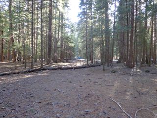 Philippian Way, Shingletown, CA 96088