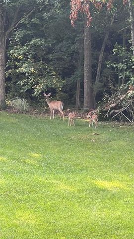 7602 Wilson Farm Road, Summerfield, NC 27358