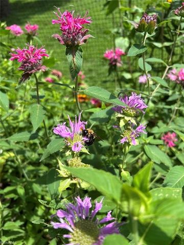 7602 Wilson Farm Road, Summerfield, NC 27358